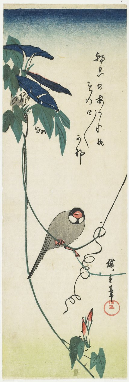 Java Sparrow ja Morning Glories, 1834-1839 tekijältä Utagawa Hiroshige
