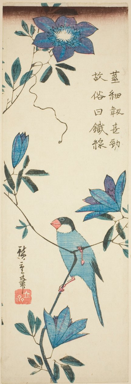 Java-varpunen ja klematis tekijältä Utagawa Hiroshige