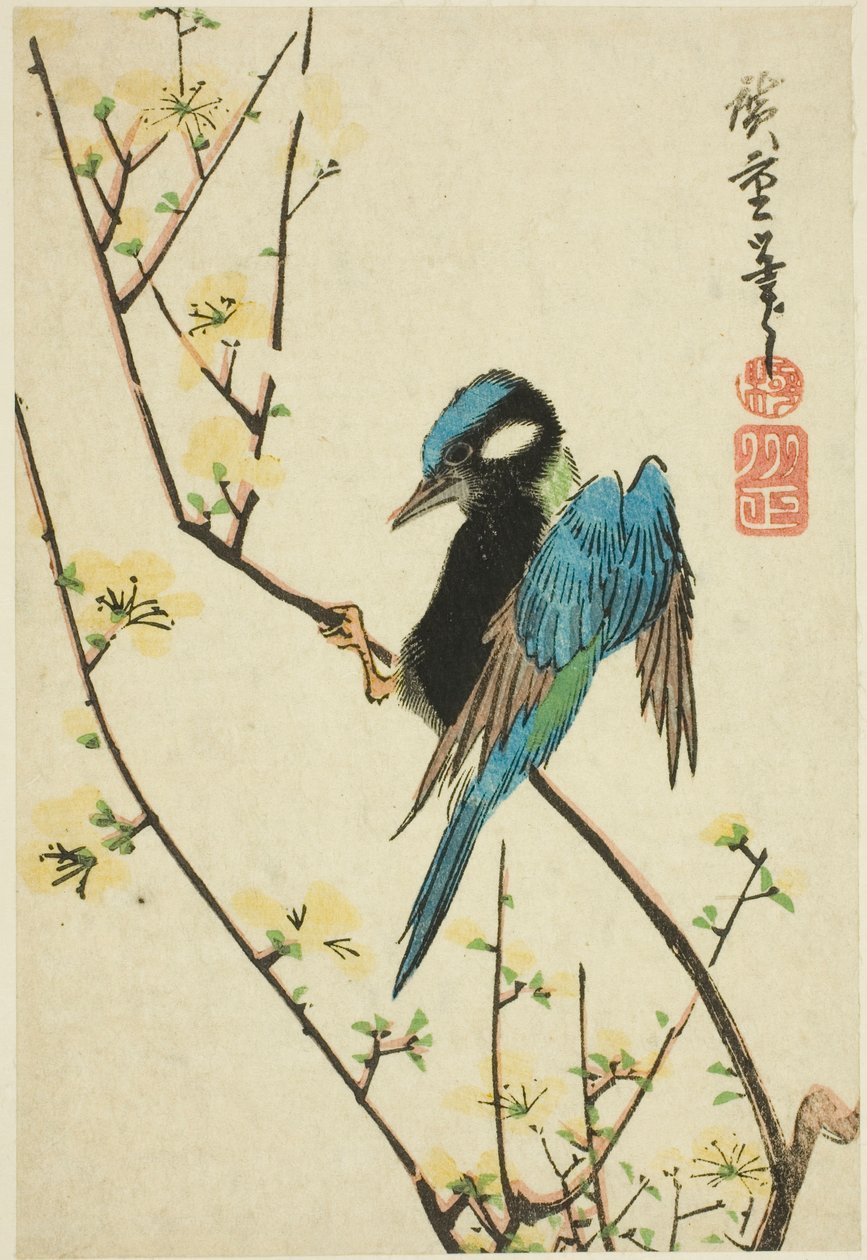 Java-varpunen kirsikan oksalla tekijältä Utagawa Hiroshige