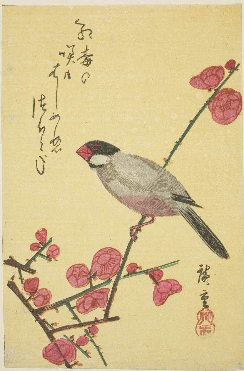 Java-varpunen luumun oksalla tekijältä Utagawa Hiroshige