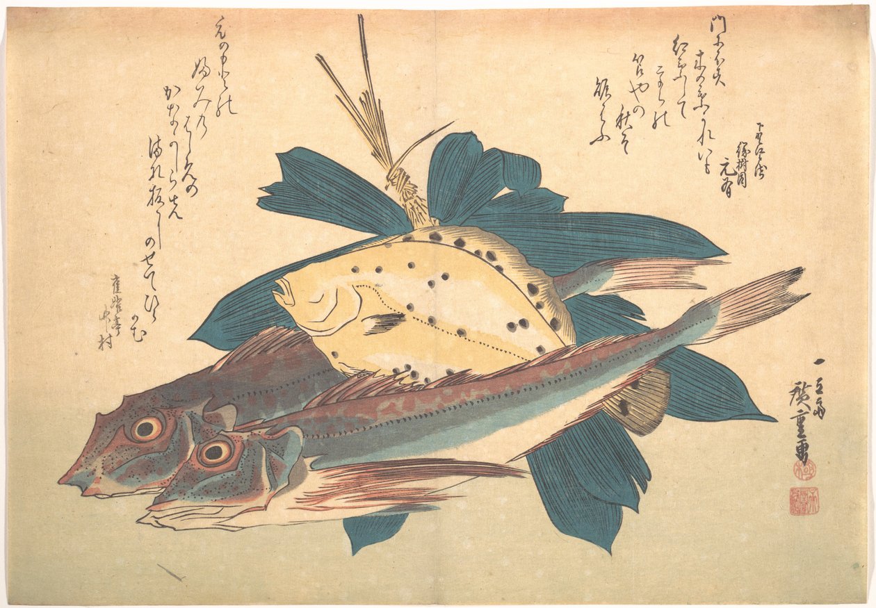 Kanagashira- ja karei-kaloja sarjasta Uozukushi (Kaikenlaisia kaloja) tekijältä Utagawa Hiroshige