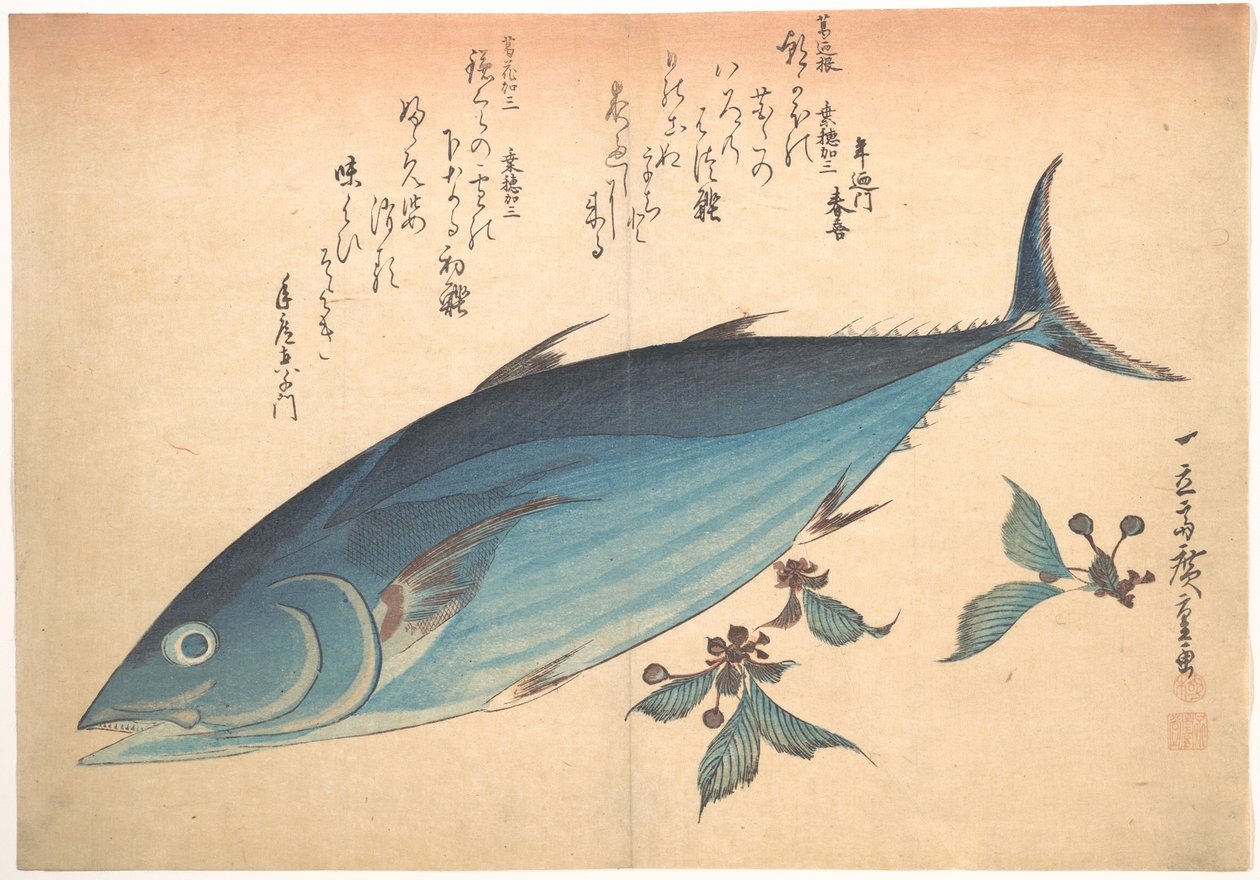 Katsuo-kala ja kirsikannuput, sarjasta Uozukushi (Kaikki kalalajit) tekijältä Utagawa Hiroshige