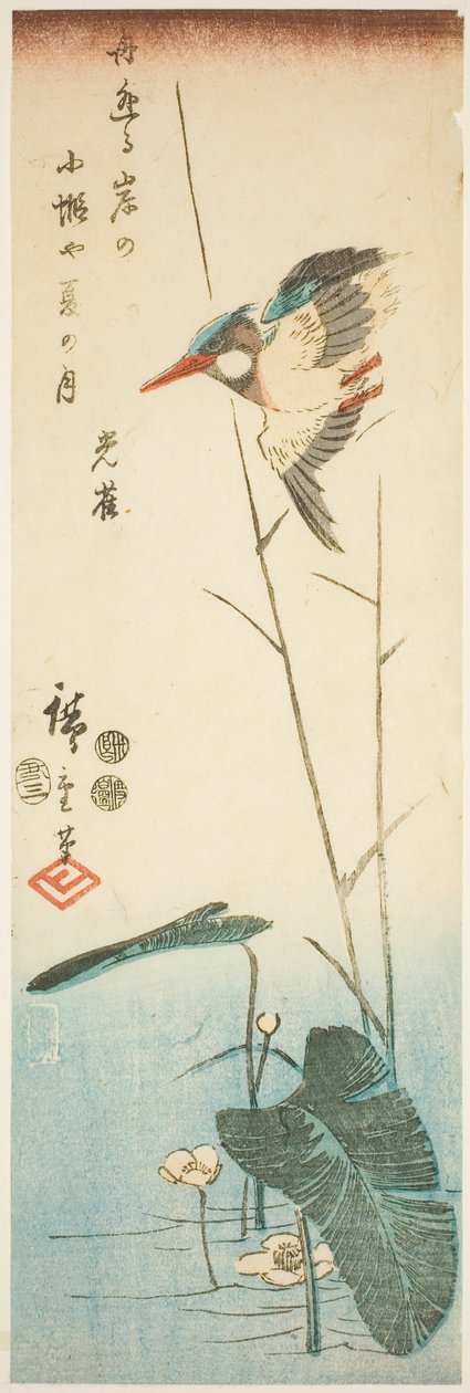 Kingfisher keltakukkaisen vesikasvin yläpuolella tekijältä Utagawa Hiroshige