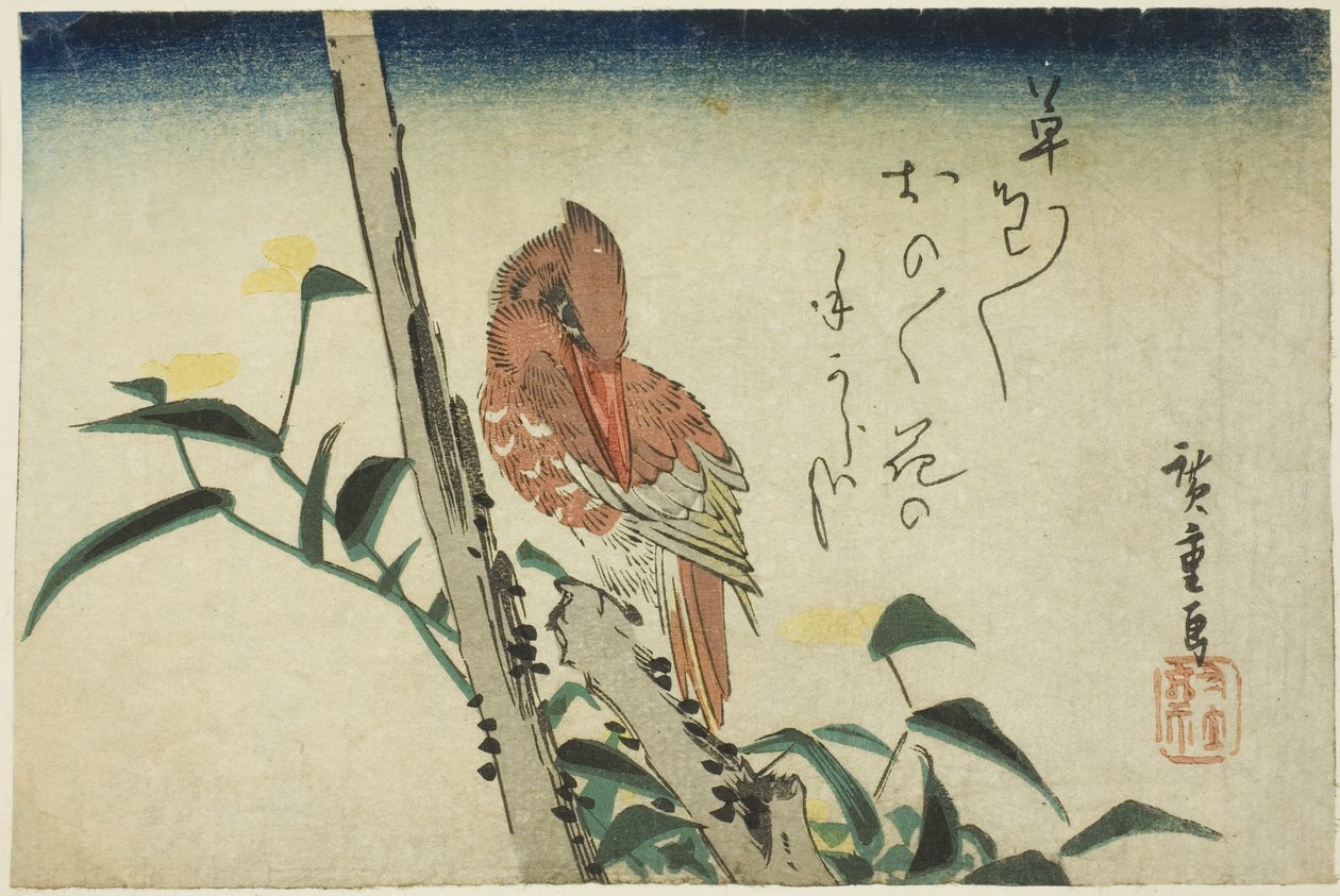 Kingfisher ja päiväkukka tekijältä Utagawa Hiroshige