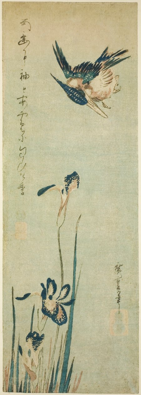Kingfisher ja iiris tekijältä Utagawa Hiroshige