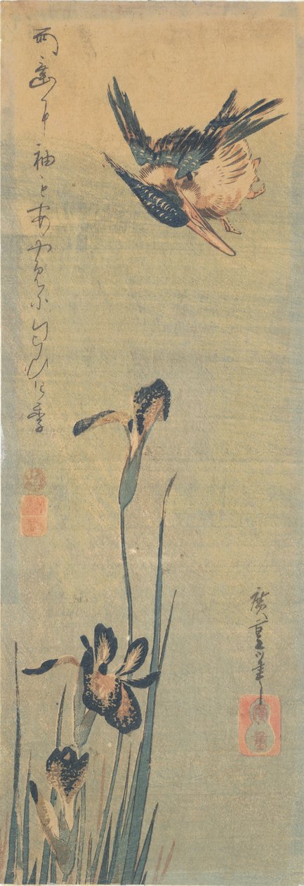 Kingfisher lentää iiriksen yli tekijältä Utagawa Hiroshige
