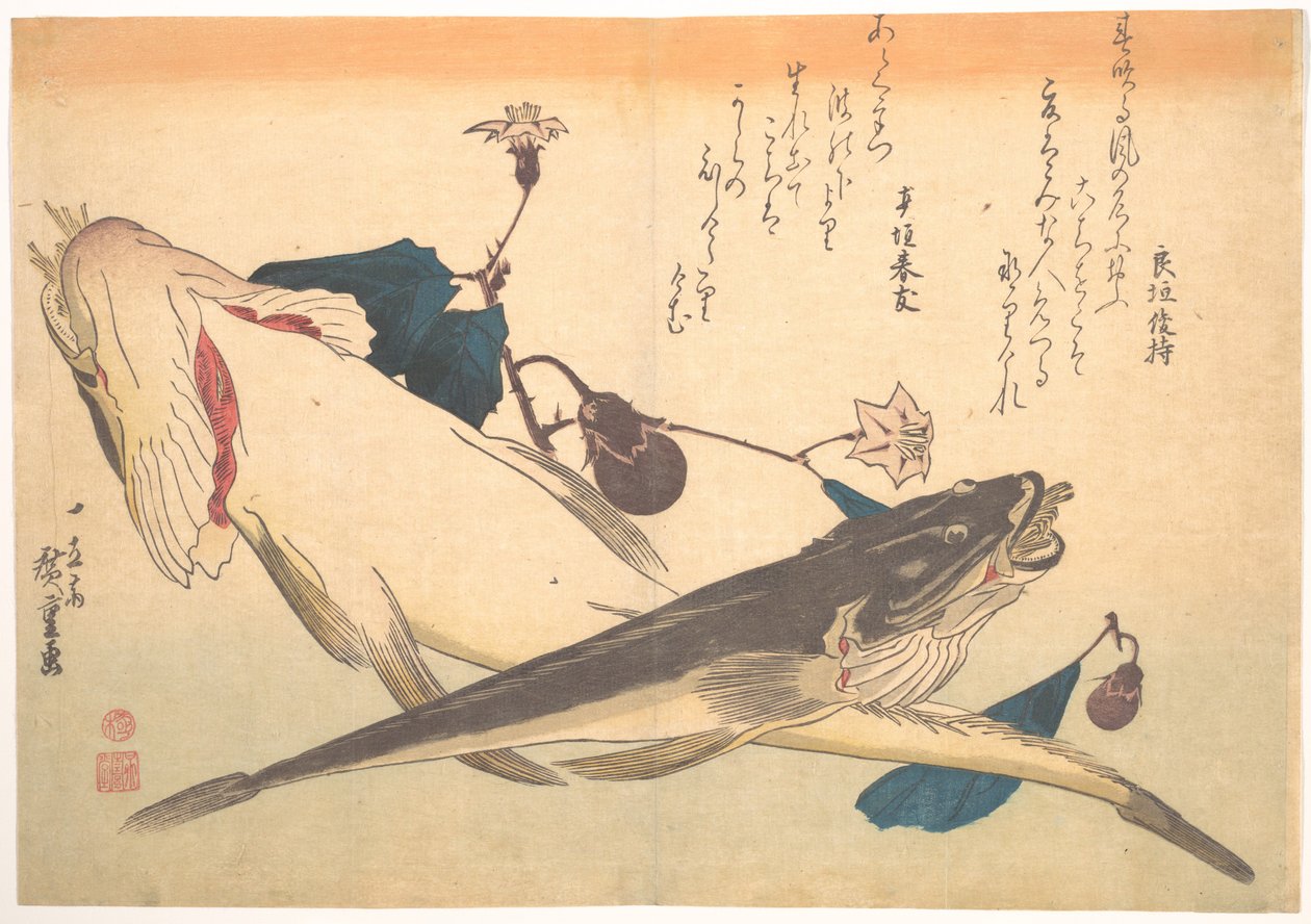 Kochi-kala ja munakoiso sarjasta Uozukushi (Kaikenlaisia kaloja) tekijältä Utagawa Hiroshige
