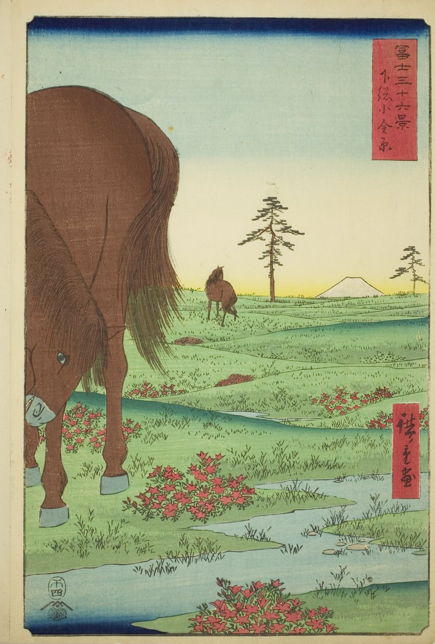 Ogane P hieno jäsen Gesasa P Rovinse (Shimosa Koganehara), Te-sarjasta `` Mr. Tyrty x Näkymät Fuji-vuorelle (Fuji Usaju Rokukatsu) 