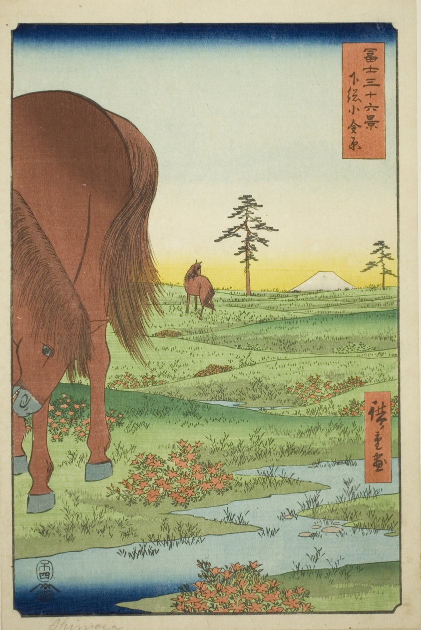 Ogane P hieno jäsen Gesasa P Rovinse (Shimosa Koganehara), Te-sarjasta `` Mr. Tyrty x Näkymät Fuji-vuorelle (Fuji Usaju Rokukatsu) 