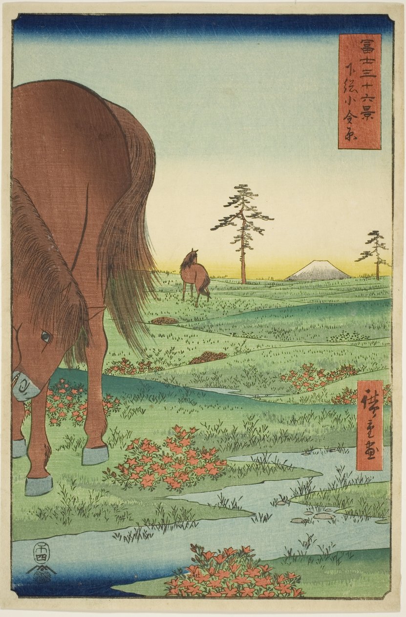 Ogane P hieno jäsen Gesasa P Rovinse (Shimosa Koganehara), Te-sarjasta `` Mr. Tyrty x Näkymät Fuji-vuorelle (Fuji Usaju Rokukatsu) 
