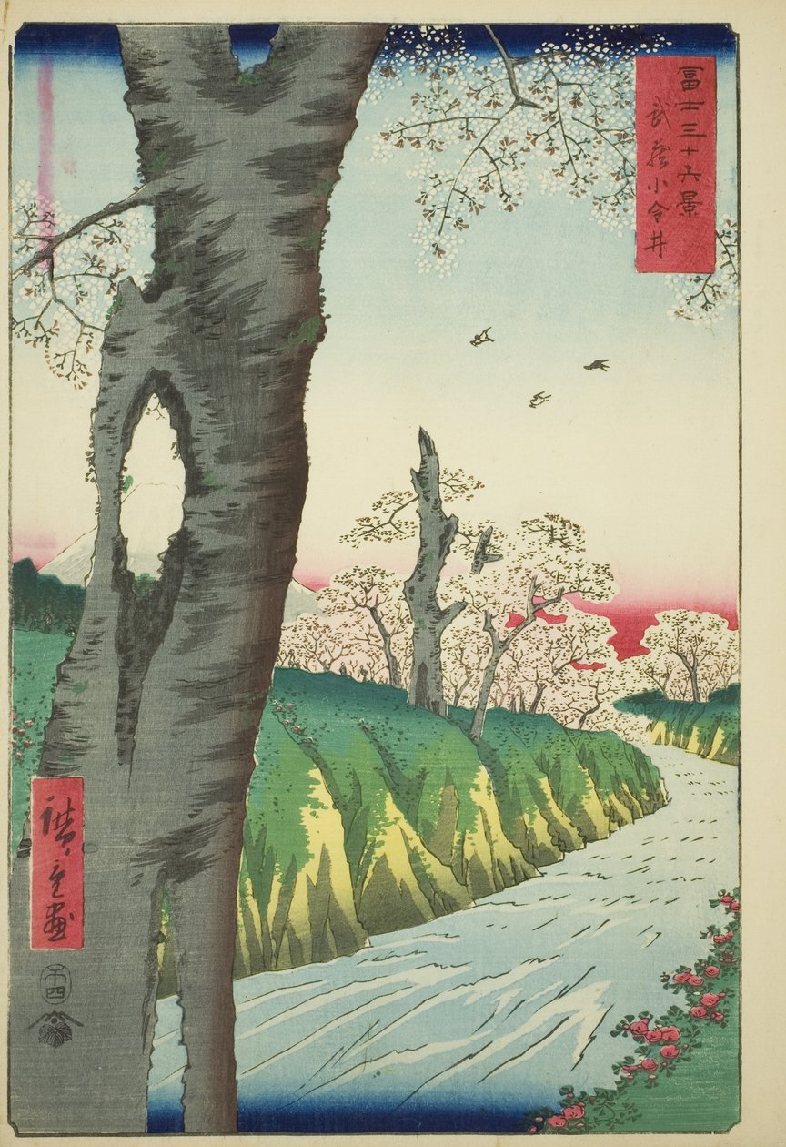 Koganei Musashin maakunnassa (Musashi Koganei), sarjasta "Kolmekymmentäkuusi näkymää Fuji-vuorelle (Fuji sanjurokkei)" tekijältä Utagawa Hiroshige