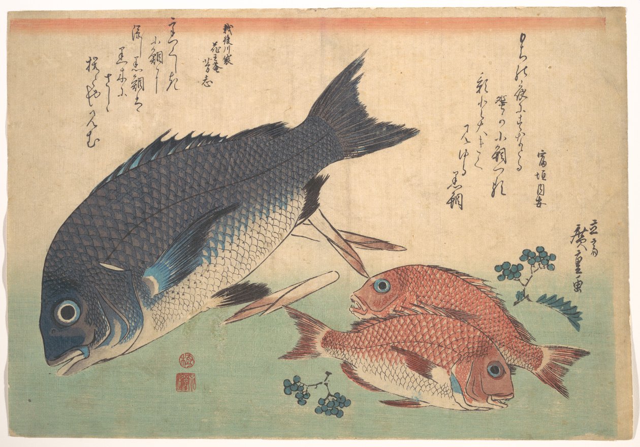 Kurodai- ja Kodai-kalat bambunversojen ja marjojen kera, teoksesta Uozukushi (Kaikenlaisia kaloja) tekijältä Utagawa Hiroshige