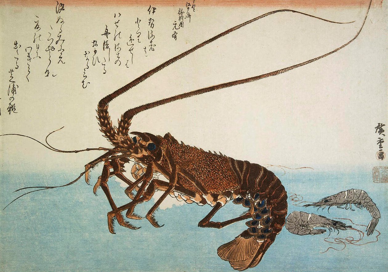 Hummeri ja katkarapu, 1832-1834. tekijältä Utagawa Hiroshige