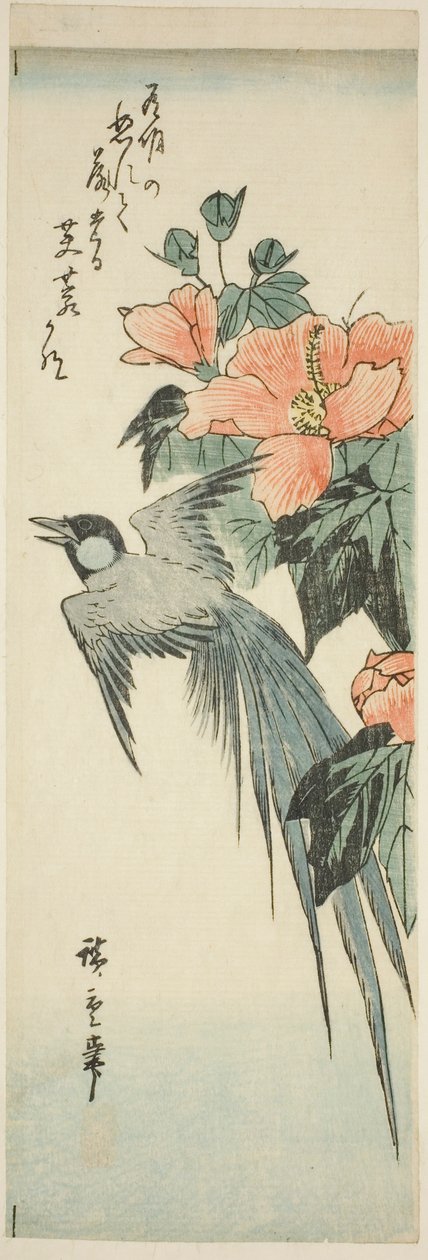 Pitkähäntälintu ja hibiscus tekijältä Utagawa Hiroshige