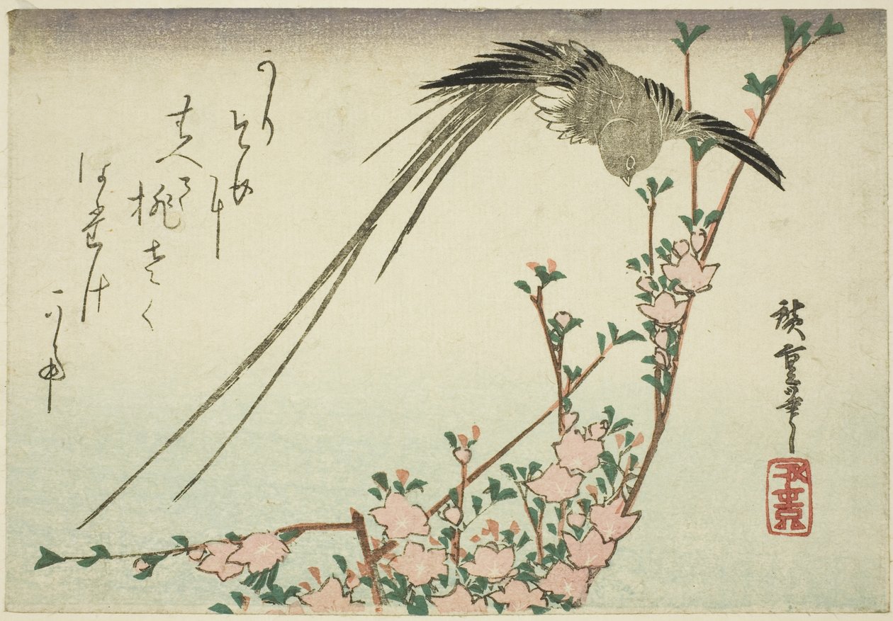 Pitkähäntälintu ja persikankukkia tekijältä Utagawa Hiroshige