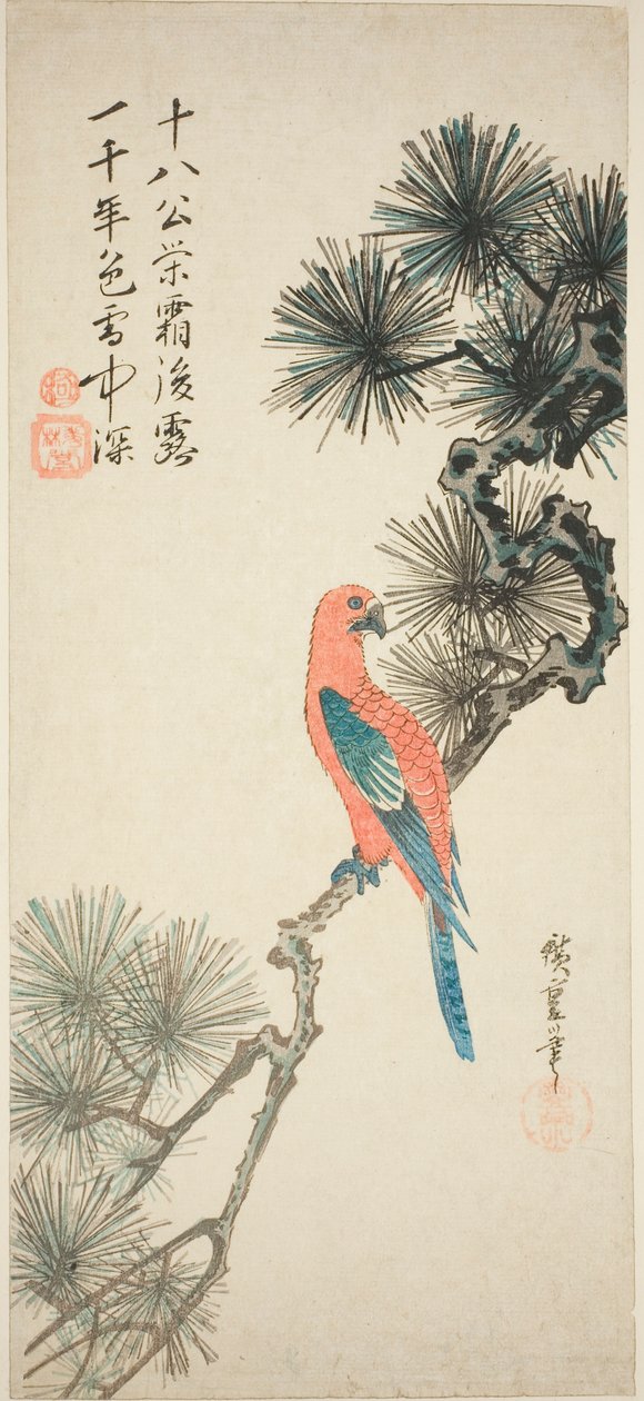 Guacamayo en una branca de pi tekijältä Utagawa Hiroshige