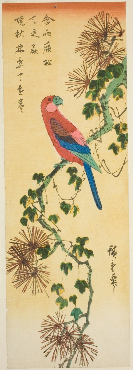 Ara männyn oksalla murattipeitteisellä männyn oksalla tekijältä Utagawa Hiroshige