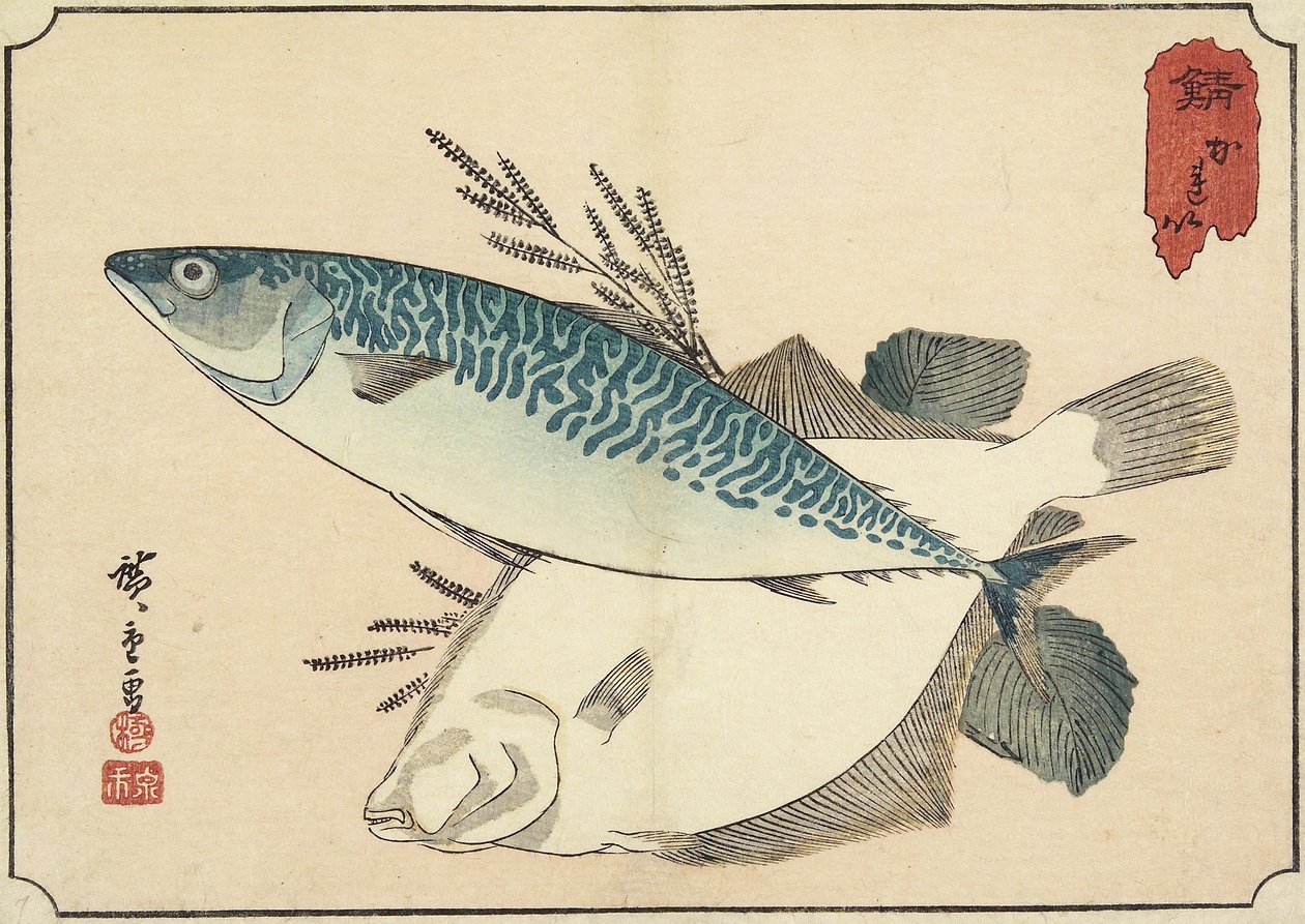 Makrilli ja pallas, 1800-luvun alku tekijältä Utagawa Hiroshige