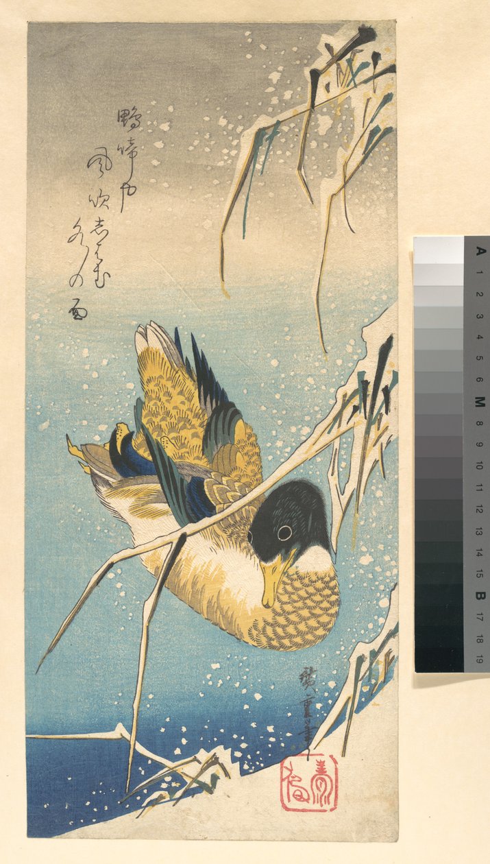 Stockente und schneebedeckte Schilfrohre tekijältä Utagawa Hiroshige