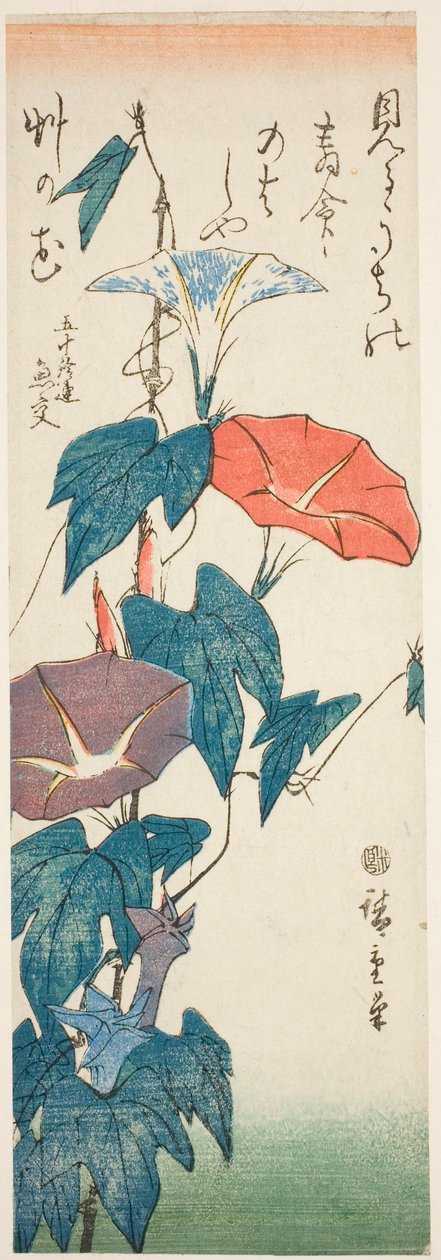 Morning Glories tekijältä Utagawa Hiroshige