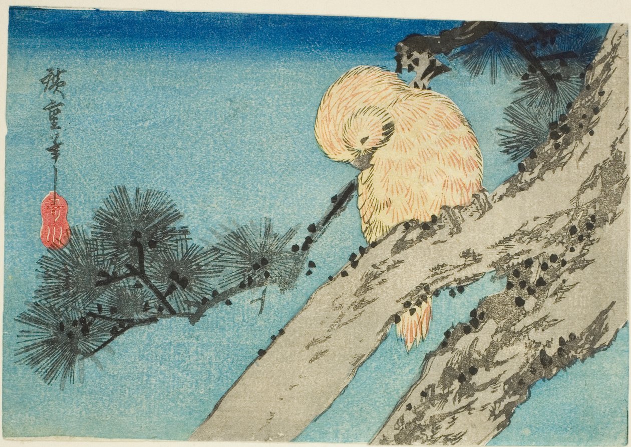 Pöllö männyn oksalla tekijältä Utagawa Hiroshige