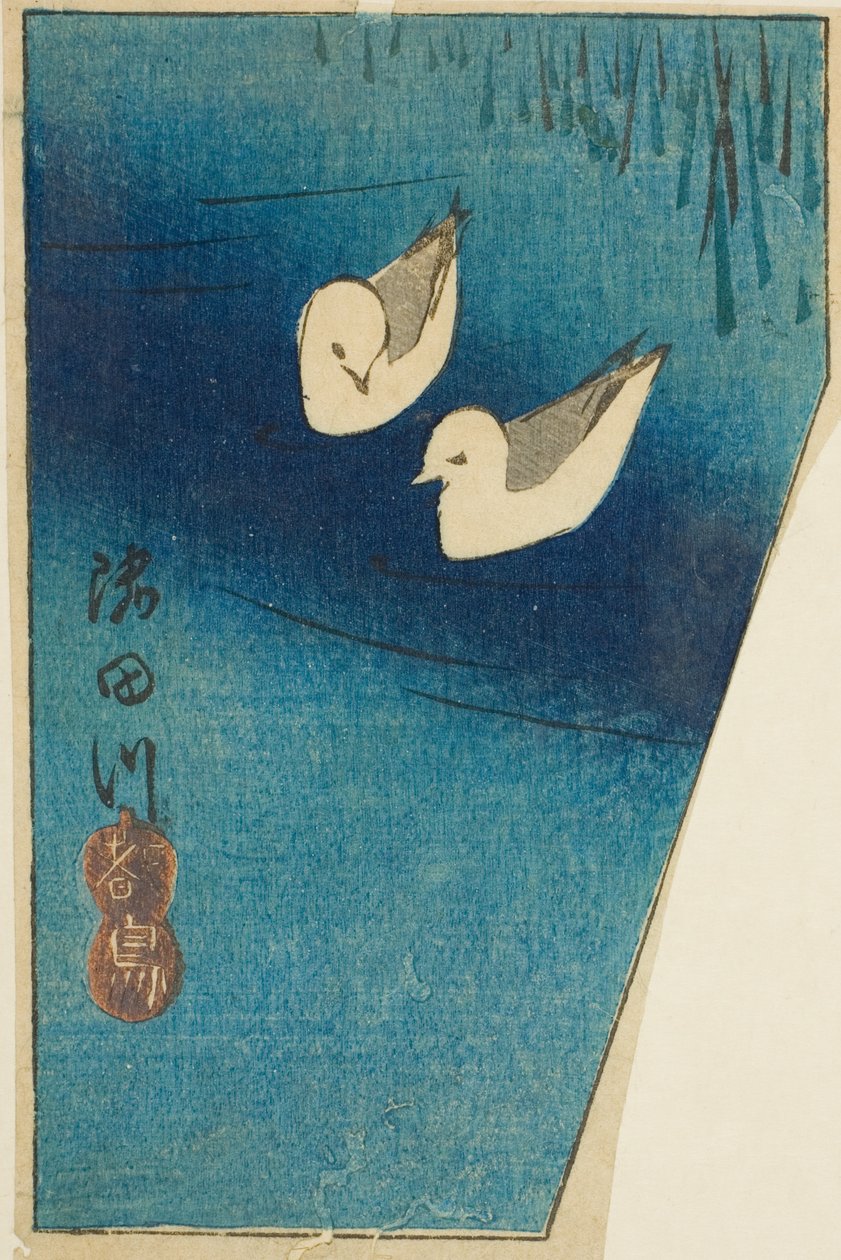 Oystersatchers on the Sumida River (Sumidagawa, miyakodori), osa arkkia sarjasta "Leikkaukset kuuluisista paikoista Edossa (Harimaze Koto meisho)" tekijältä Utagawa Hiroshige