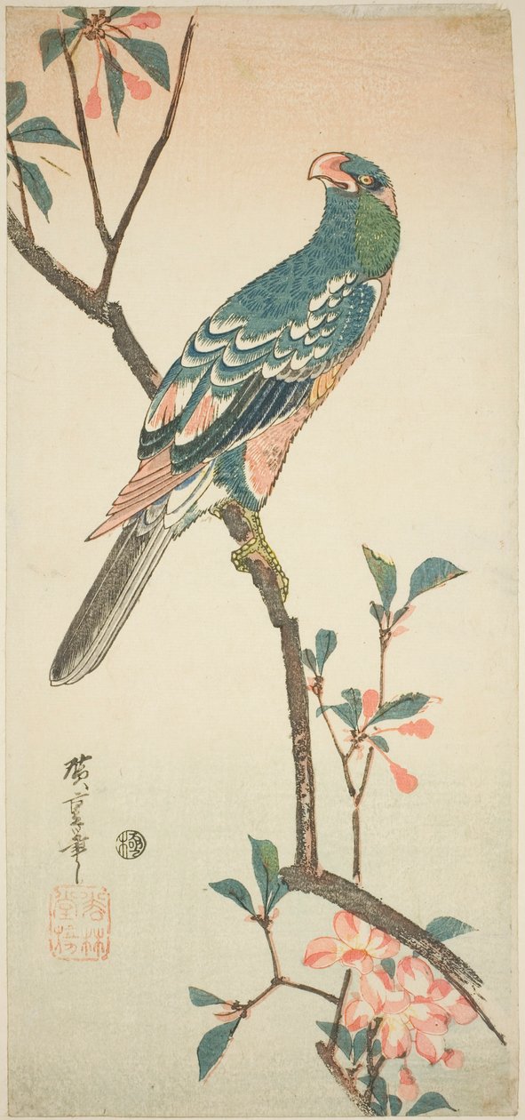 Papukaija kukkivalla oksalla tekijältä Utagawa Hiroshige