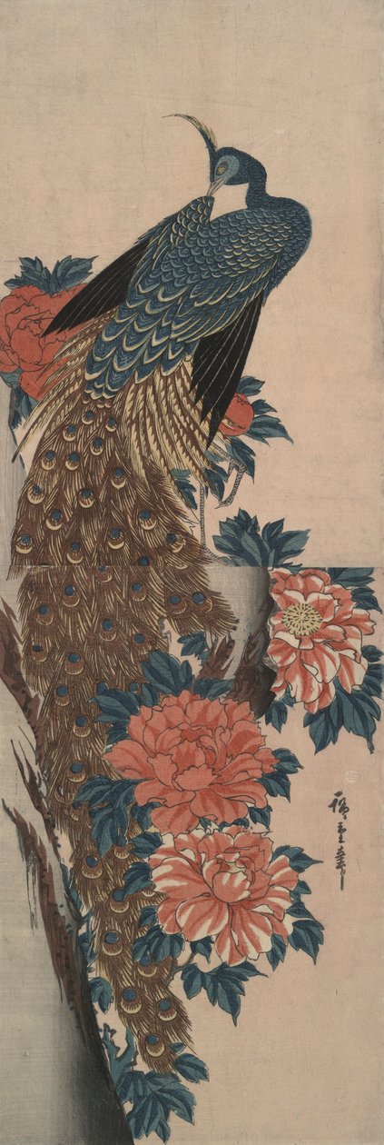 Riikinkukko ja pionit tekijältä Utagawa Hiroshige