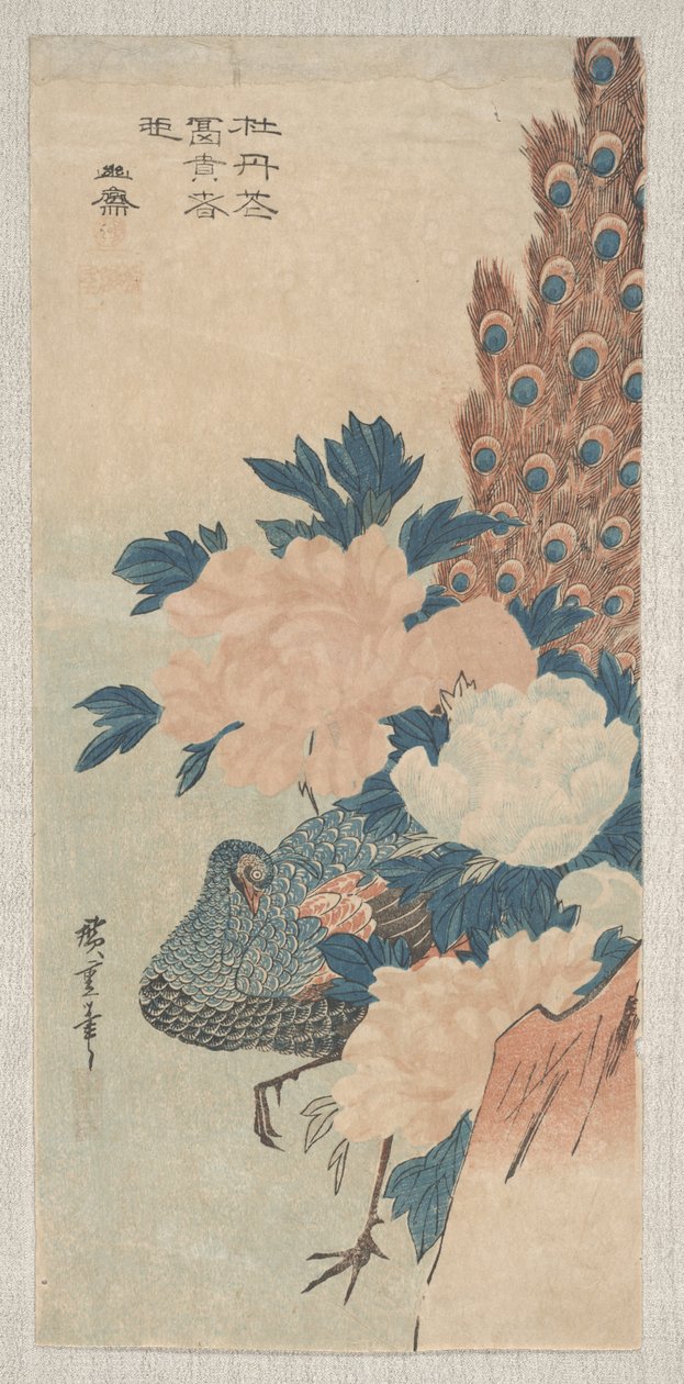 Peacock and Peonies, noin 1830 tekijältä Utagawa Hiroshige