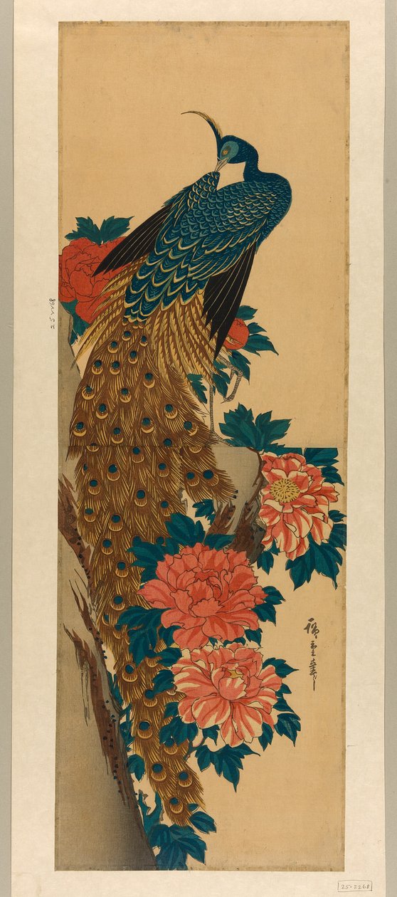 Riikinkukko ja pionit tekijältä Utagawa Hiroshige