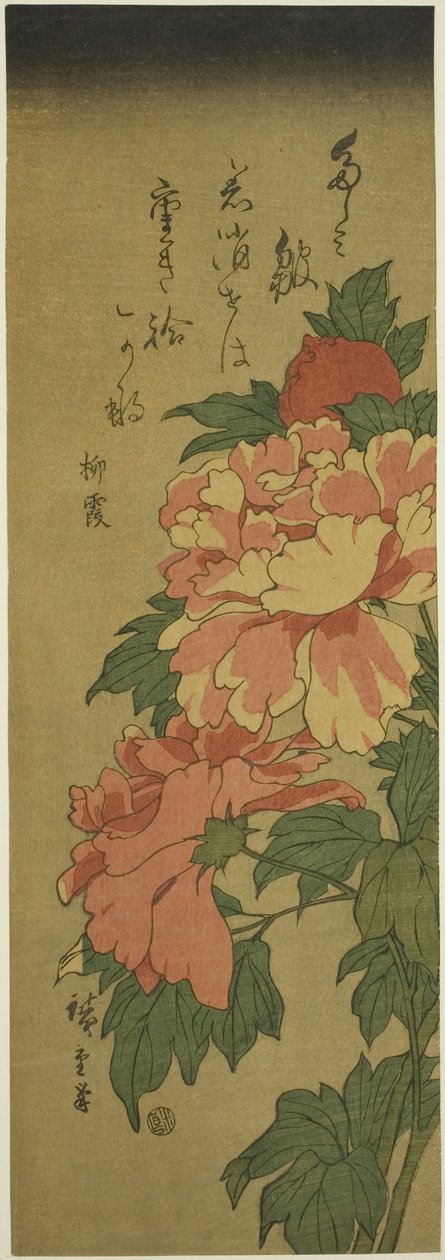 Pionit tekijältä Utagawa Hiroshige