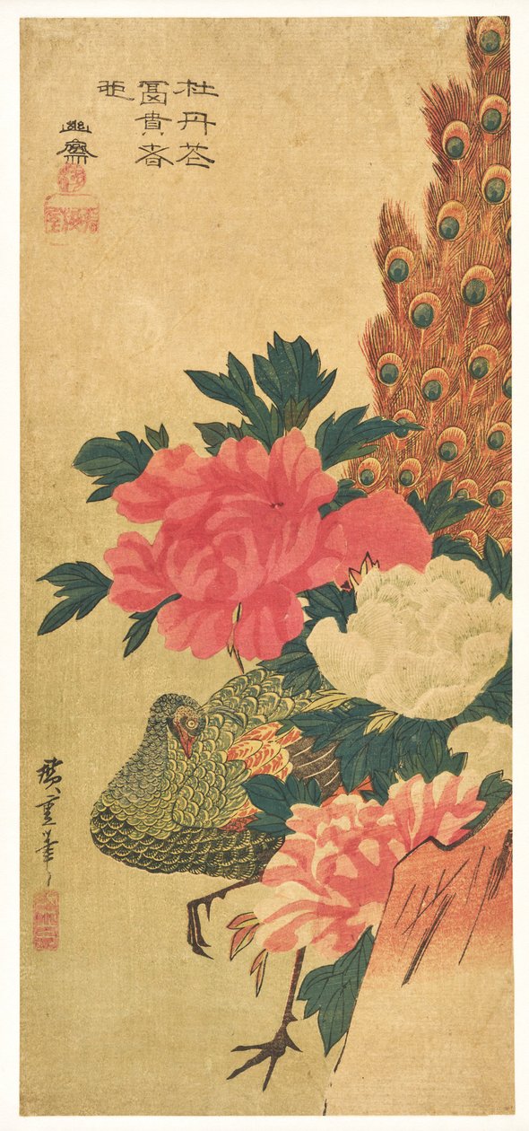 Pionit ja riikinkukko tekijältä Utagawa Hiroshige