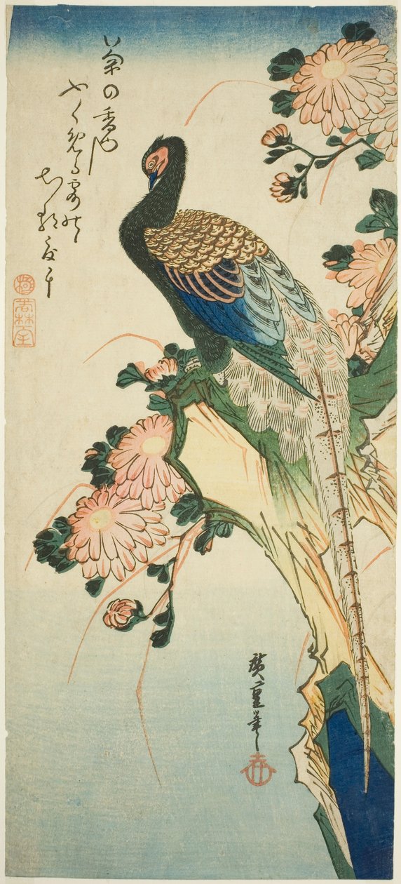 Fasaani ja krysanteemit tekijältä Utagawa Hiroshige