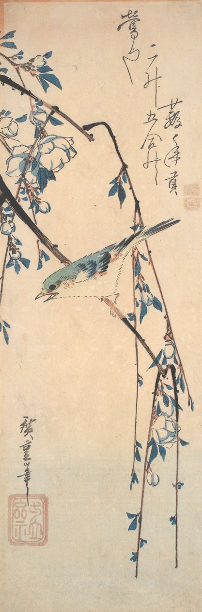 Punainen sinihäntä kirsikanoksalla tekijältä Utagawa Hiroshige