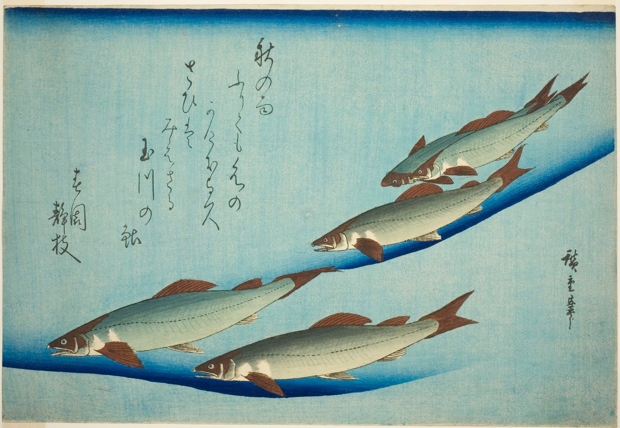 Joki taimen tekijältä Utagawa Hiroshige