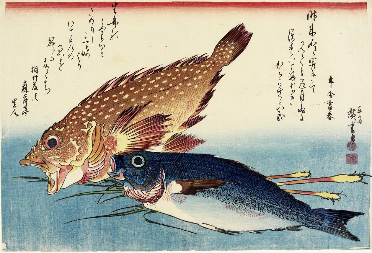 Scorpionfish, Chicken Grunt ja Inkivääriversot, c. 1832 tekijältä Utagawa Hiroshige
