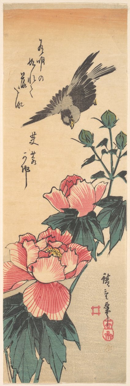 Varpunen ja hibiskus tekijältä Utagawa Hiroshige