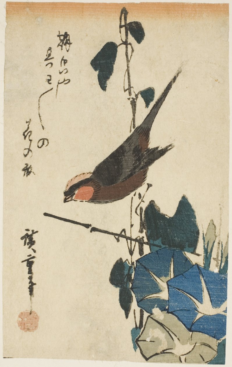 Varpunen ja aamun loisto tekijältä Utagawa Hiroshige