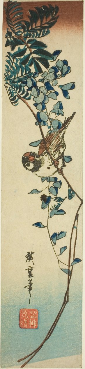 Varpunen ja wisteria tekijältä Utagawa Hiroshige