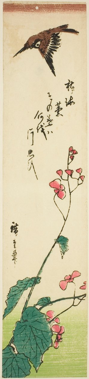 Sparrow lentää begonioiden yli tekijältä Utagawa Hiroshige