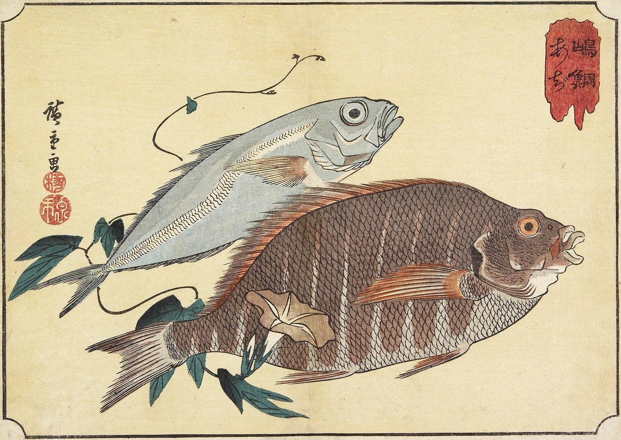Raidallinen snapper ja piikkimakrilli, 1800-luvun alku tekijältä Utagawa Hiroshige