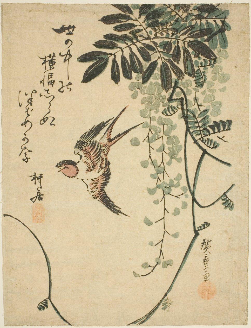 Pääskynen ja wisteria tekijältä Utagawa Hiroshige