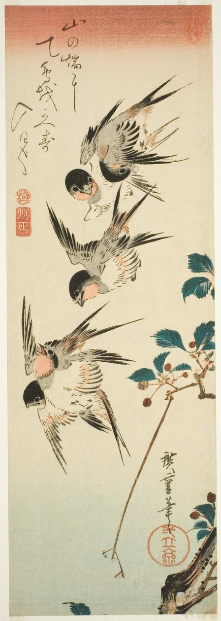 Pääskyset ja kirsikankukat tekijältä Utagawa Hiroshige