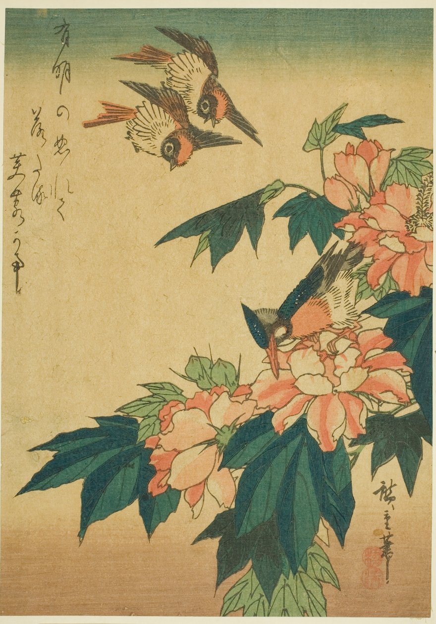 Pääskyset, kuningaskala ja hibiscus tekijältä Utagawa Hiroshige