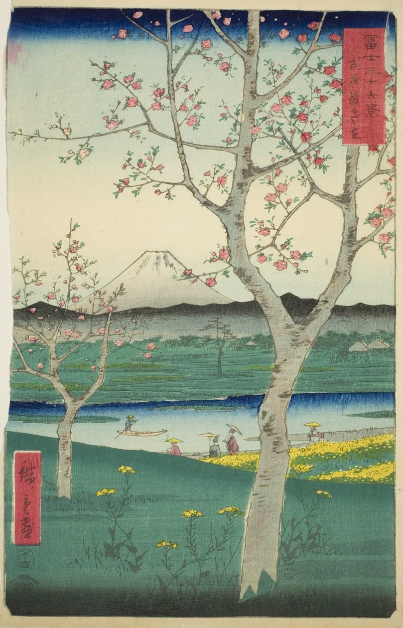 Koshigayan esikaupunki Musashin maakunnassa (Musashi Koshigaya zai), sarjasta "Kolmekymmentäkuusi näkymää Fuji-vuorelle (Fuji sanjurokkei)" tekijältä Utagawa Hiroshige