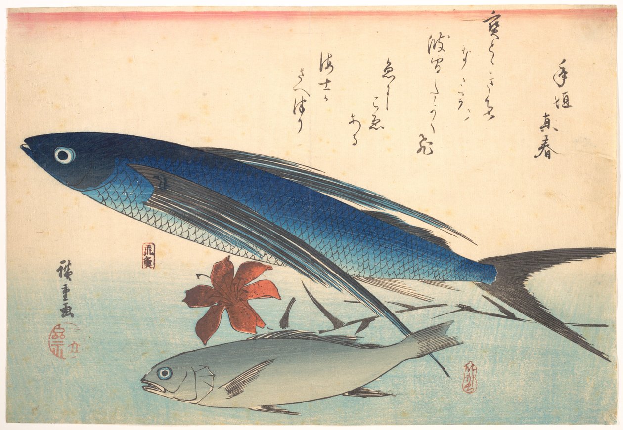 Tobiuo- ja Ishimochi-kalat sarjasta Uozukushi (Kaikenlaisia kaloja) tekijältä Utagawa Hiroshige