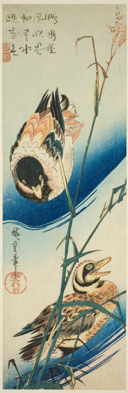 Kaksi ankkaa uimassa kaislikoiden keskellä tekijältä Utagawa Hiroshige