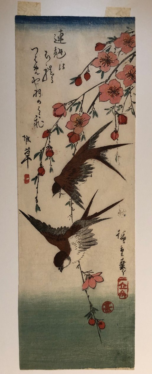 Kaksi pääskyä ja kukkivat omenanoksat tekijältä Utagawa Hiroshige