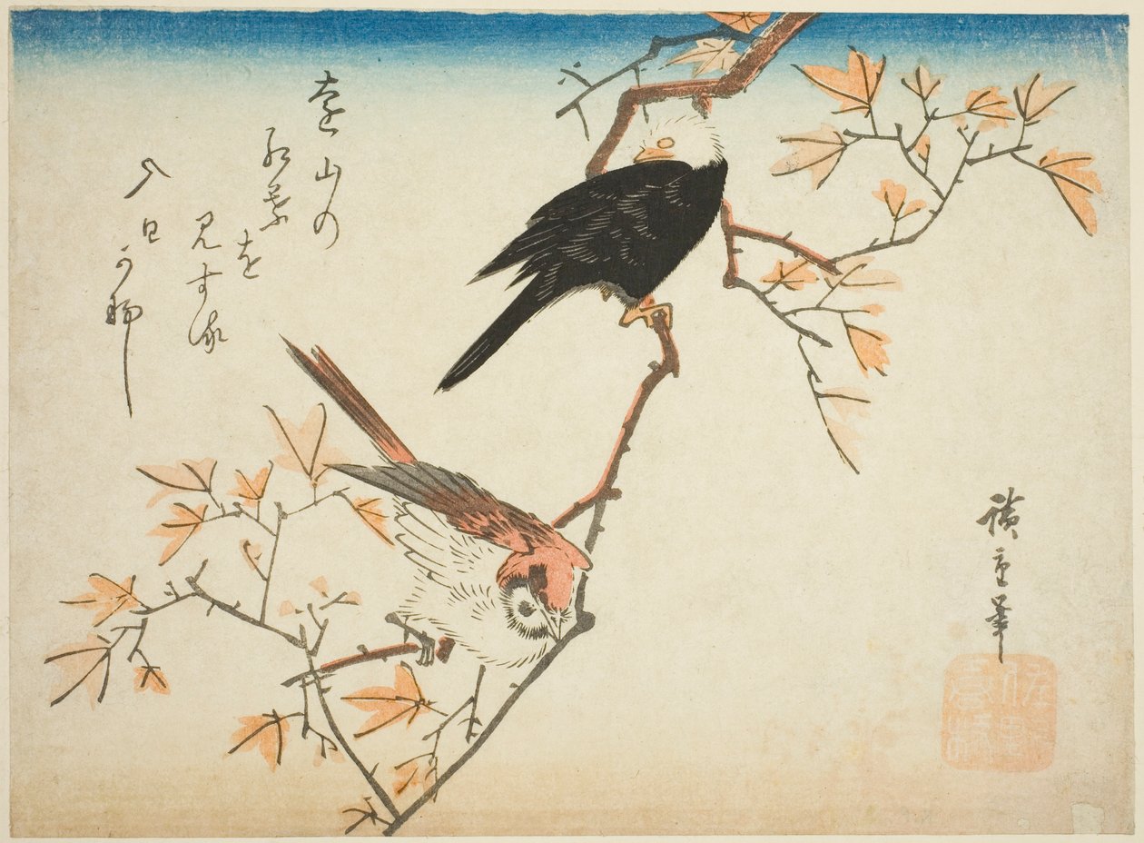 Kaksi lintua vaahteran oksalla tekijältä Utagawa Hiroshige