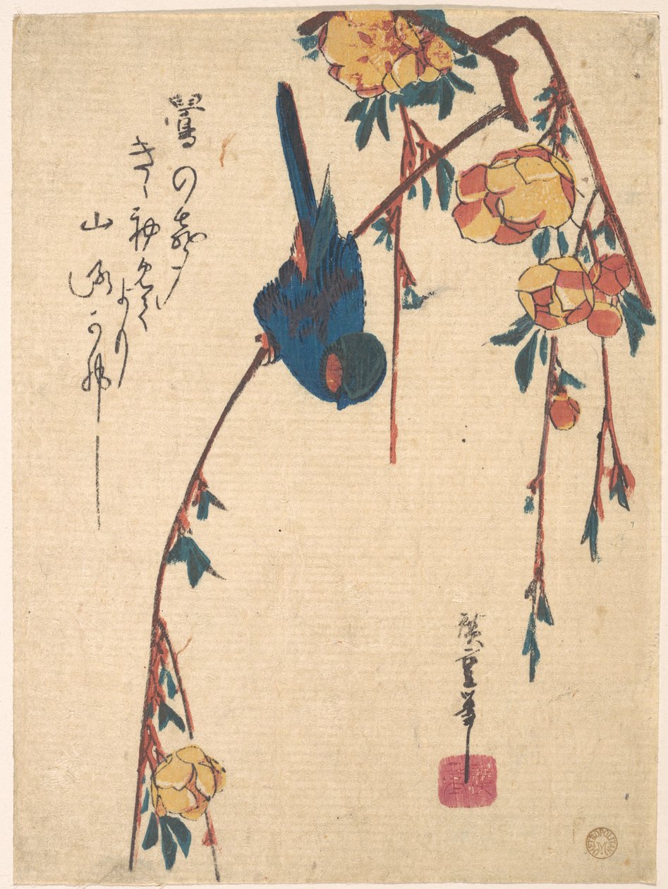Riippakirsikka ja sinilintu tekijältä Utagawa Hiroshige